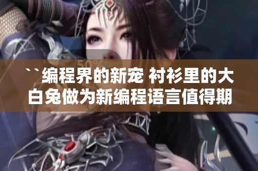 ``编程界的新宠 衬衫里的大白兔做为新编程语言值得期待吗？``