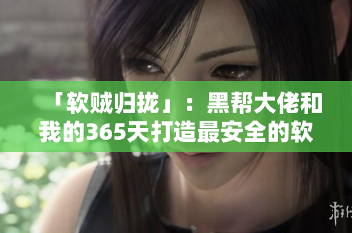 「软贼归拢」：黑帮大佬和我的365天打造最安全的软件解决方案