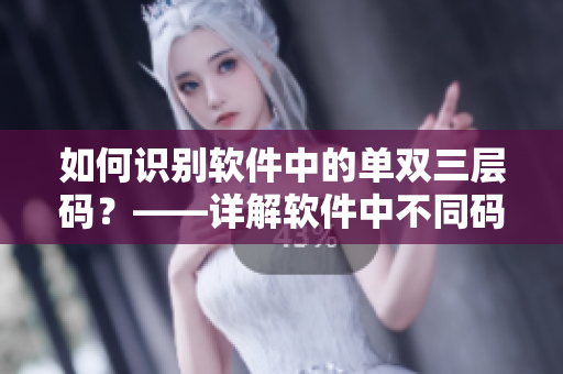 如何识别软件中的单双三层码？——详解软件中不同码位的含义