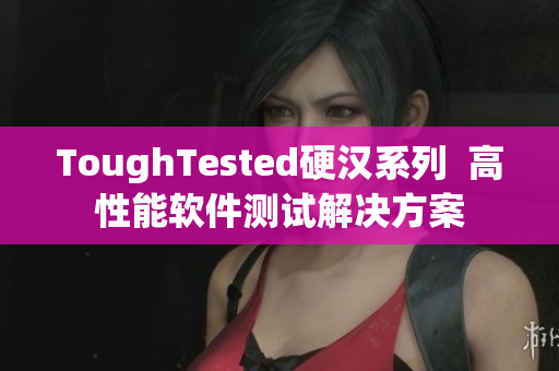 ToughTested硬汉系列  高性能软件测试解决方案