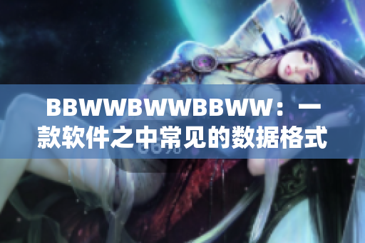 BBWWBWWBBWW：一款软件之中常见的数据格式，你需要了解。