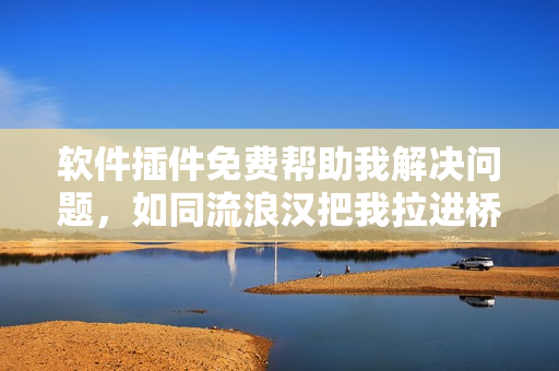 软件插件免费帮助我解决问题，如同流浪汉把我拉进桥底相助