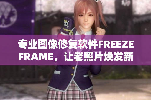 专业图像修复软件FREEZEFRAME，让老照片焕发新生！