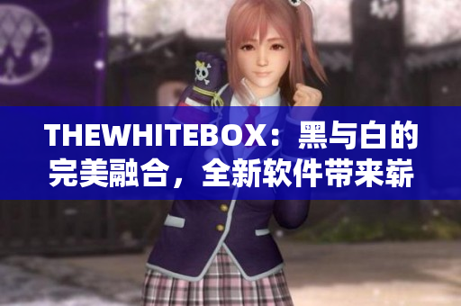 THEWHITEBOX：黑与白的完美融合，全新软件带来崭新用户体验