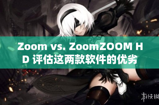 Zoom vs. ZoomZOOM HD 评估这两款软件的优劣