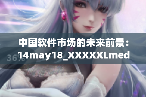 中国软件市场的未来前景：14may18_XXXXXLmedjyf解读