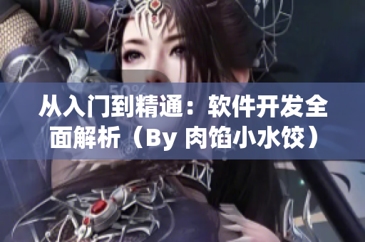 从入门到精通：软件开发全面解析（By 肉馅小水饺）