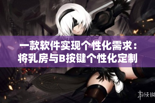 一款软件实现个性化需求：将乳房与B按键个性化定制