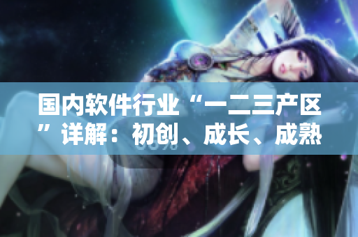 国内软件行业“一二三产区”详解：初创、成长、成熟市场的特点和发展趋势