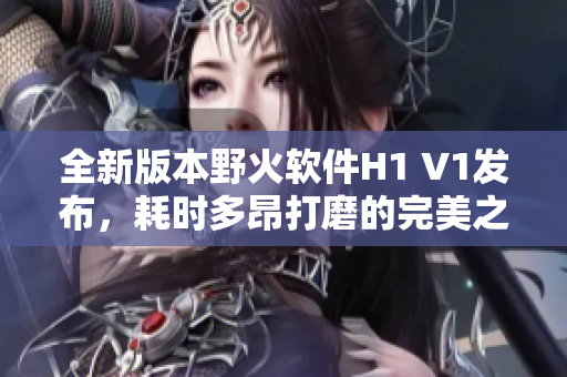 全新版本野火软件H1 V1发布，耗时多昂打磨的完美之作