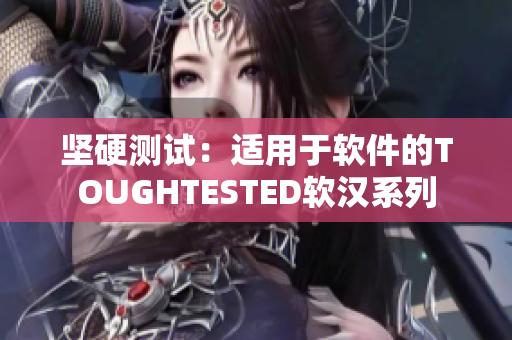 坚硬测试：适用于软件的TOUGHTESTED软汉系列