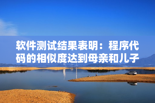 软件测试结果表明：程序代码的相似度达到母亲和儿子的DNA水平