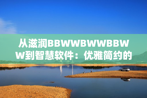 从滋润BBWWBWWBBWW到智慧软件：优雅简约的黑白界面