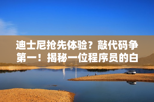 迪士尼抢先体验？敲代码争第一！揭秘一位程序员的白热化竞技场面