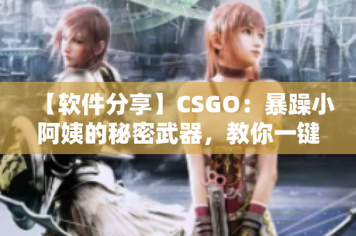 【软件分享】CSGO：暴躁小阿姨的秘密武器，教你一键提升游戏水平！