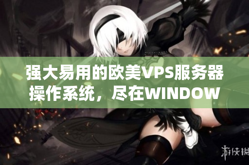 强大易用的欧美VPS服务器操作系统，尽在WINDOWS极品VPS