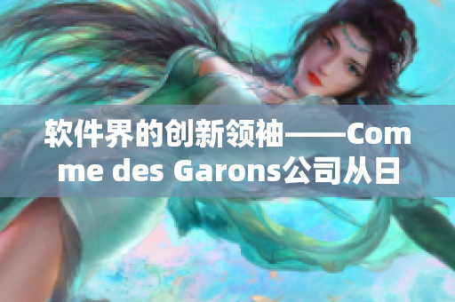 软件界的创新领袖——Comme des Garons公司从日本进军全球市场