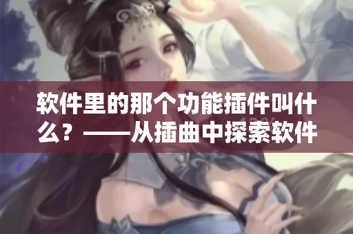 软件里的那个功能插件叫什么？——从插曲中探索软件隐蔽功能！