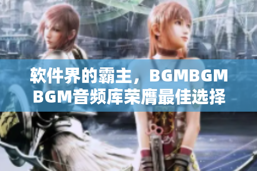 软件界的霸主，BGMBGMBGM音频库荣膺最佳选择，惊人价格抢先一步！