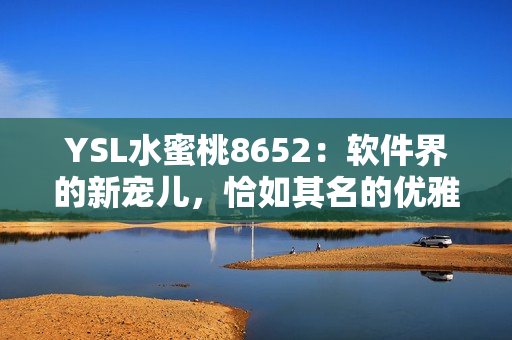 YSL水蜜桃8652：软件界的新宠儿，恰如其名的优雅与高效