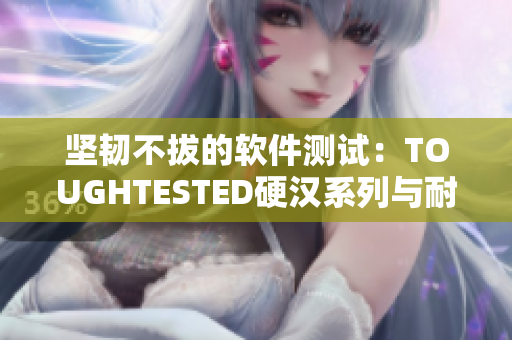 坚韧不拔的软件测试：TOUGHTESTED硬汉系列与耐久性测试