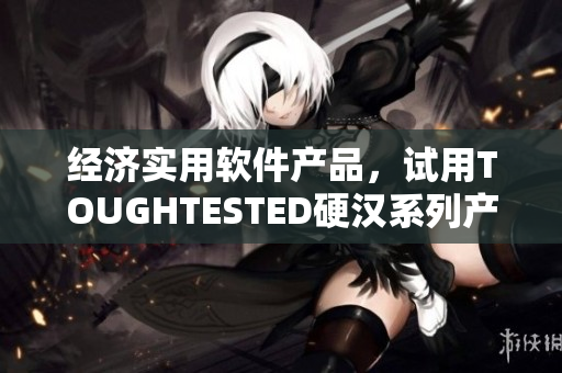 经济实用软件产品，试用TOUGHTESTED硬汉系列产品的评测报告