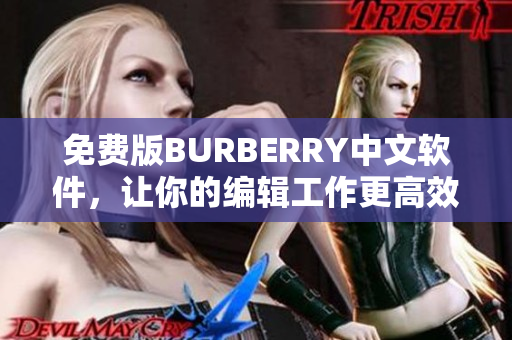 免费版BURBERRY中文软件，让你的编辑工作更高效！