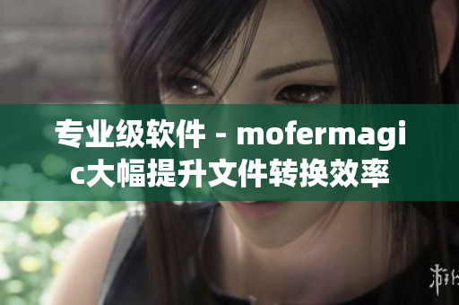 专业级软件 - mofermagic大幅提升文件转换效率