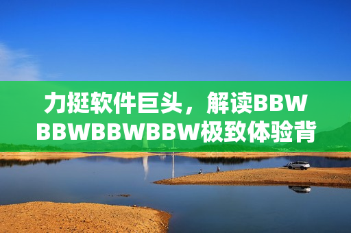 力挺软件巨头，解读BBWBBWBBWBBW极致体验背后的技术支撑