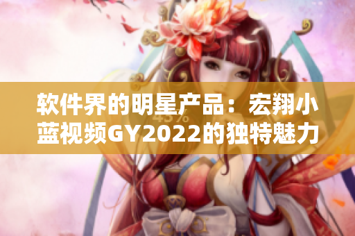 软件界的明星产品：宏翔小蓝视频GY2022的独特魅力