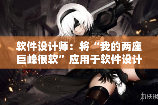 软件设计师：将“我的两座巨峰很软”应用于软件设计