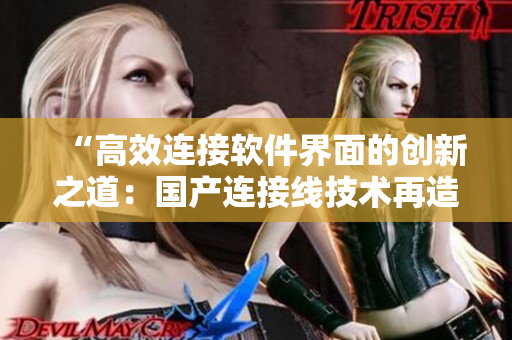 “高效连接软件界面的创新之道：国产连接线技术再造新生”