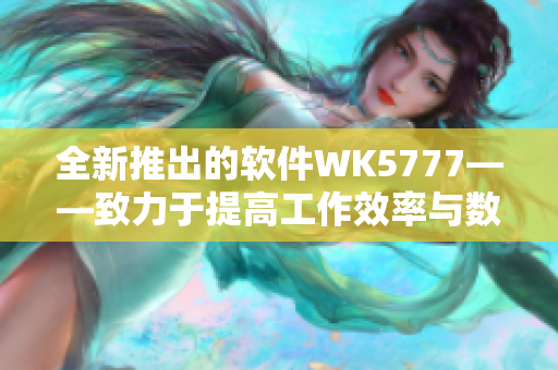 全新推出的软件WK5777——致力于提高工作效率与数据安全性