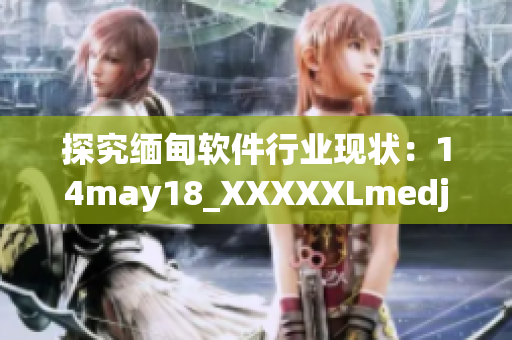 探究缅甸软件行业现状：14may18_XXXXXLmedjyf 数据揭示