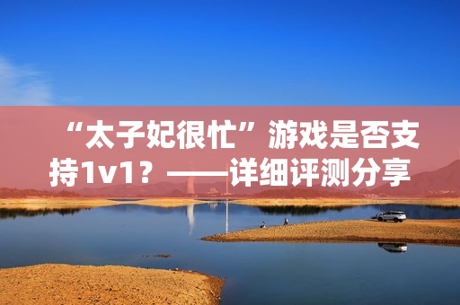 “太子妃很忙”游戏是否支持1v1？——详细评测分享