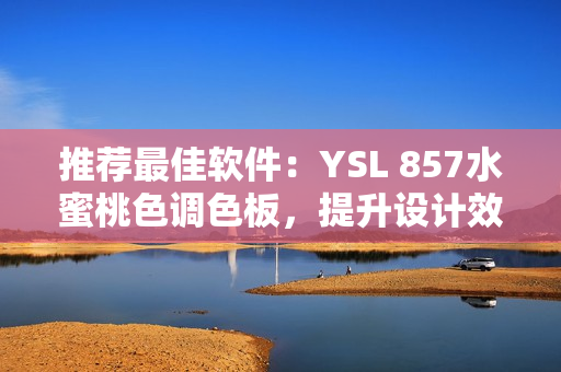 推荐最佳软件：YSL 857水蜜桃色调色板，提升设计效率与美感
