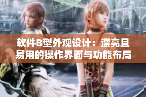 软件B型外观设计：漂亮且易用的操作界面与功能布局