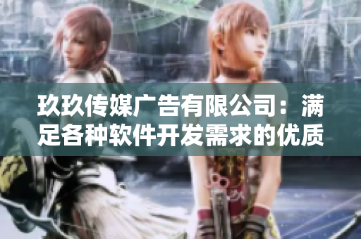 玖玖传媒广告有限公司：满足各种软件开发需求的优质服务提供商