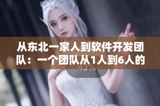 从东北一家人到软件开发团队：一个团队从1人到6人的发展史