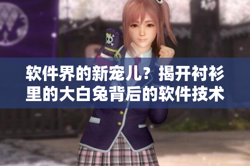 软件界的新宠儿？揭开衬衫里的大白兔背后的软件技术引领