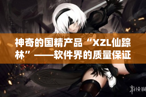 神奇的国精产品“XZL仙踪林”——软件界的质量保证