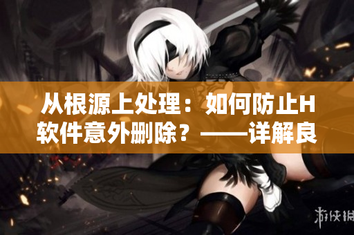 从根源上处理：如何防止H软件意外删除？——详解良心软件安全管理！