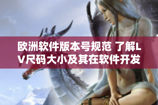欧洲软件版本号规范 了解LV尺码大小及其在软件开发中的应用