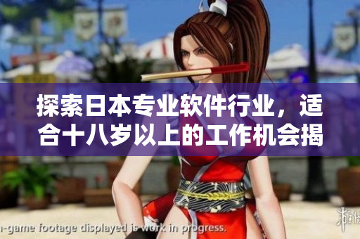 探索日本专业软件行业，适合十八岁以上的工作机会揭秘