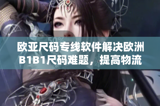 欧亚尺码专线软件解决欧洲B1B1尺码难题，提高物流效率