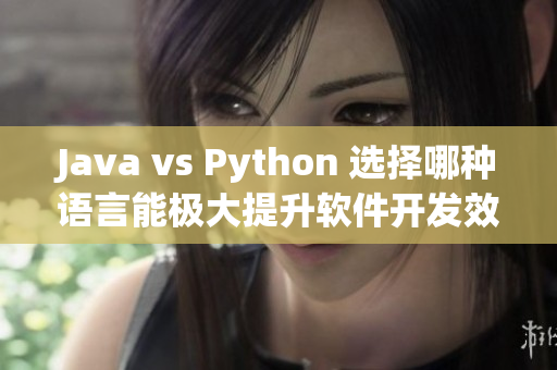 Java vs Python 选择哪种语言能极大提升软件开发效率