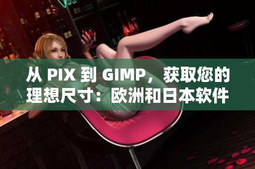 从 PIX 到 GIMP，获取您的理想尺寸：欧洲和日本软件尺码指南