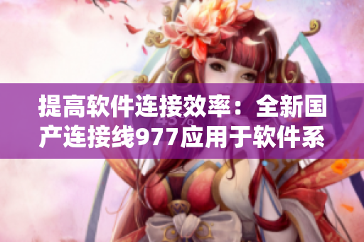 提高软件连接效率：全新国产连接线977应用于软件系统中的实践