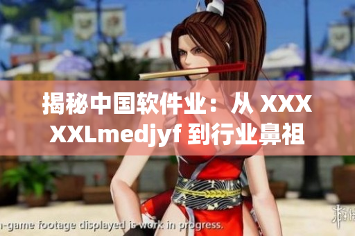 揭秘中国软件业：从 XXXXXLmedjyf 到行业鼻祖