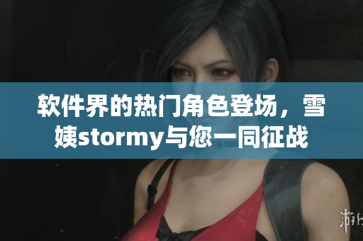 软件界的热门角色登场，雪姨stormy与您一同征战